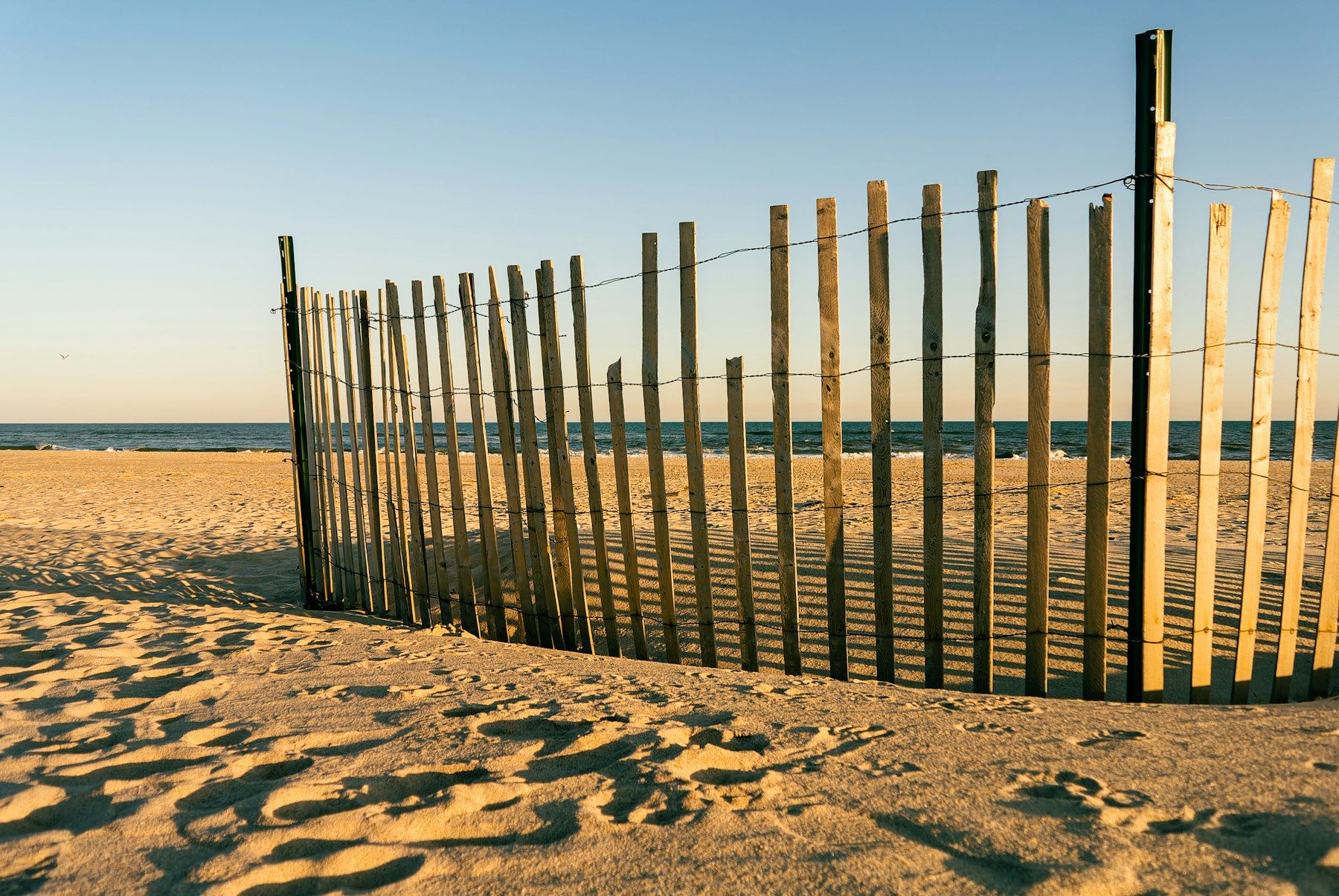 A wooden dune fence on a Hamptons beach in late-afternoon light